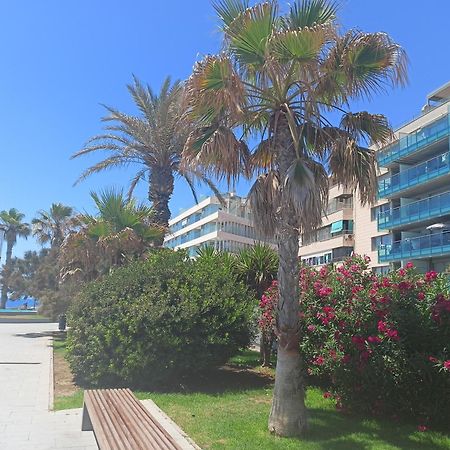 Appartement Vista Del Mar à Torrevieja Extérieur photo