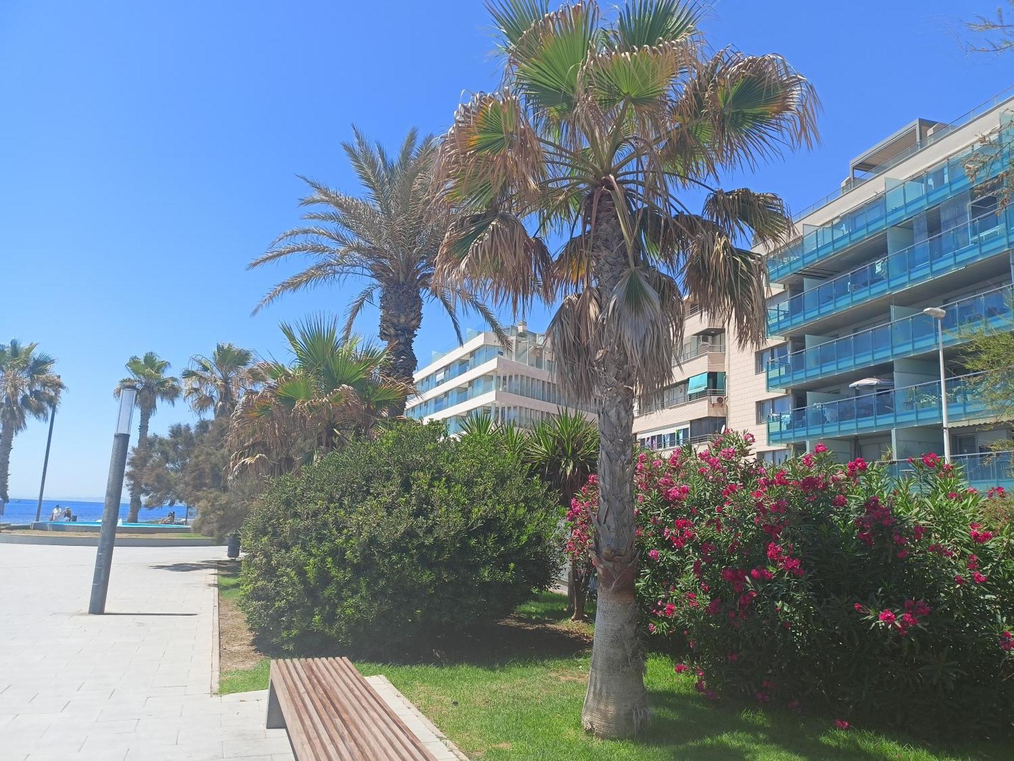 Appartement Vista Del Mar à Torrevieja Extérieur photo